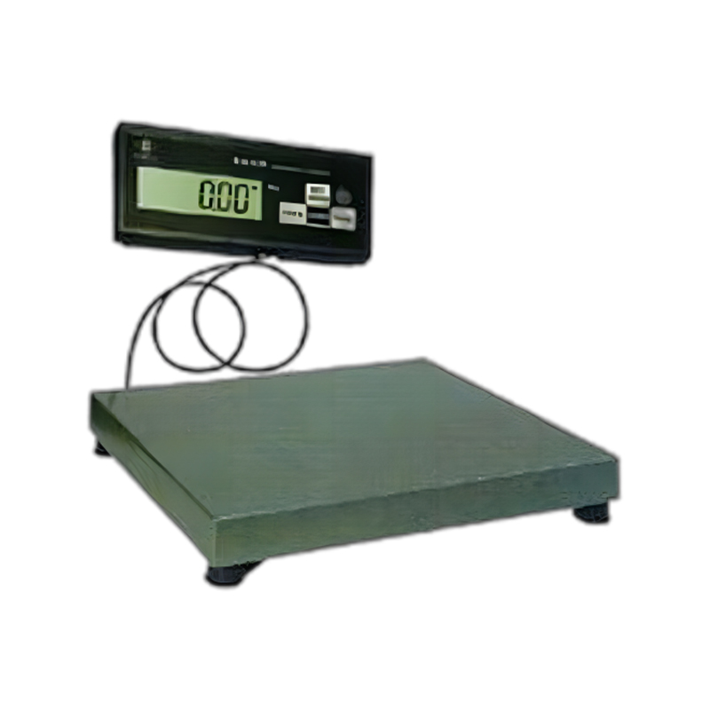 Electronic Weighbridge Scale
